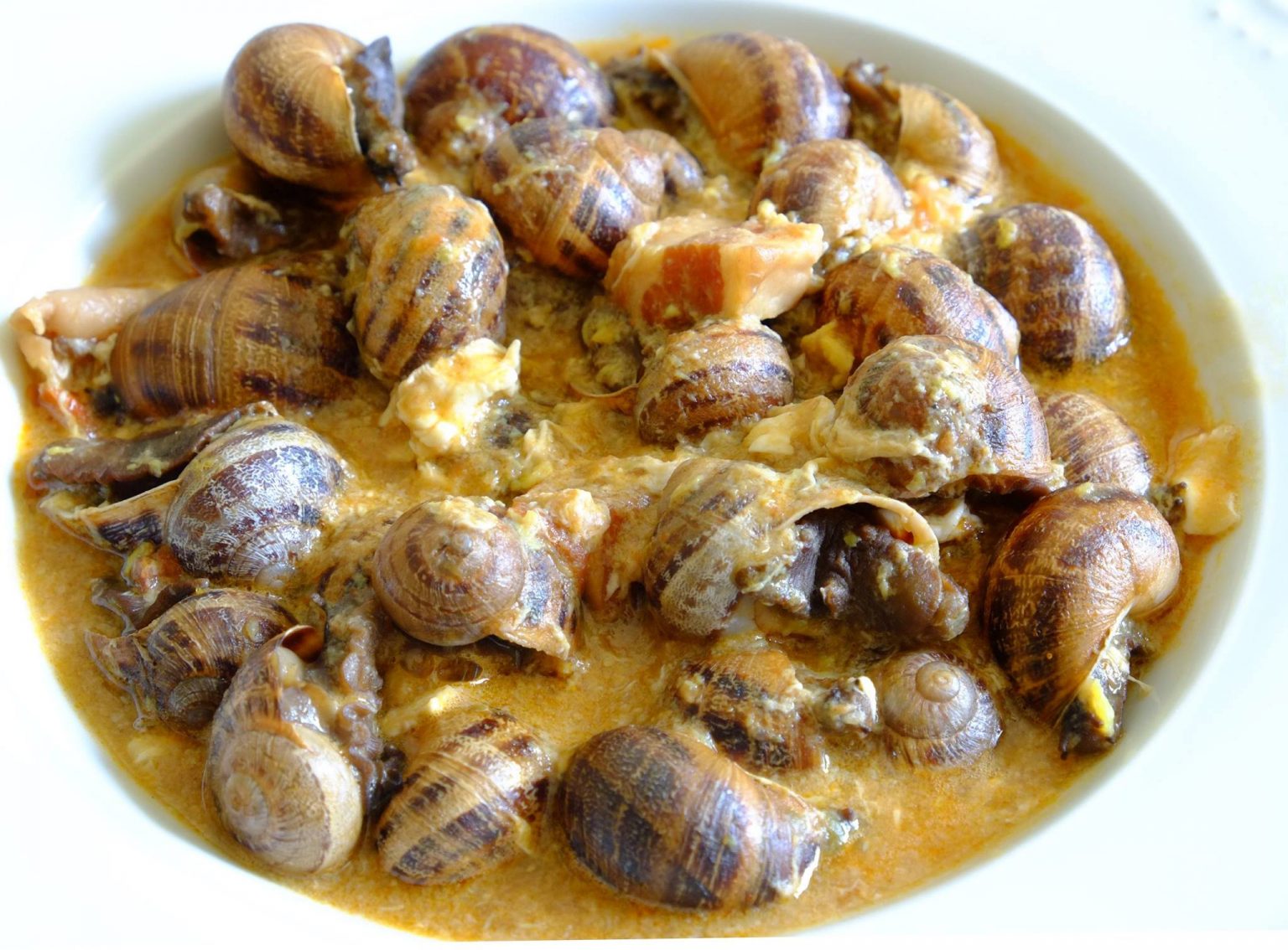 Gastronomía palentina los mejores platos de Palencia