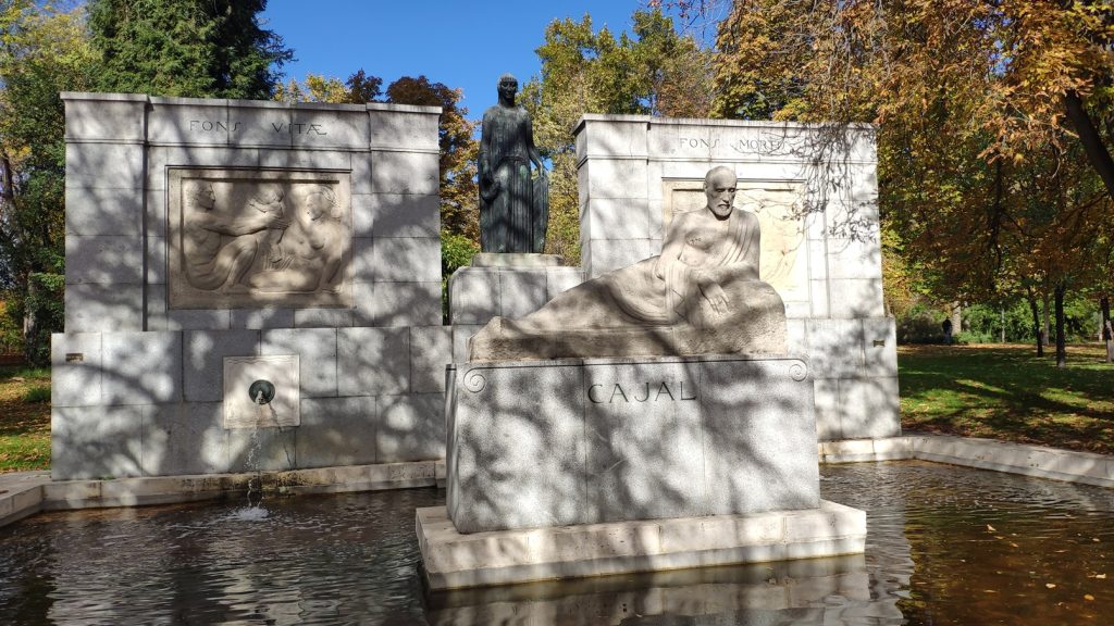 Monumento dedicado a Ramón y Cajal en el Parque del Retiro (Madrid), obra del escultor Victorio Macho